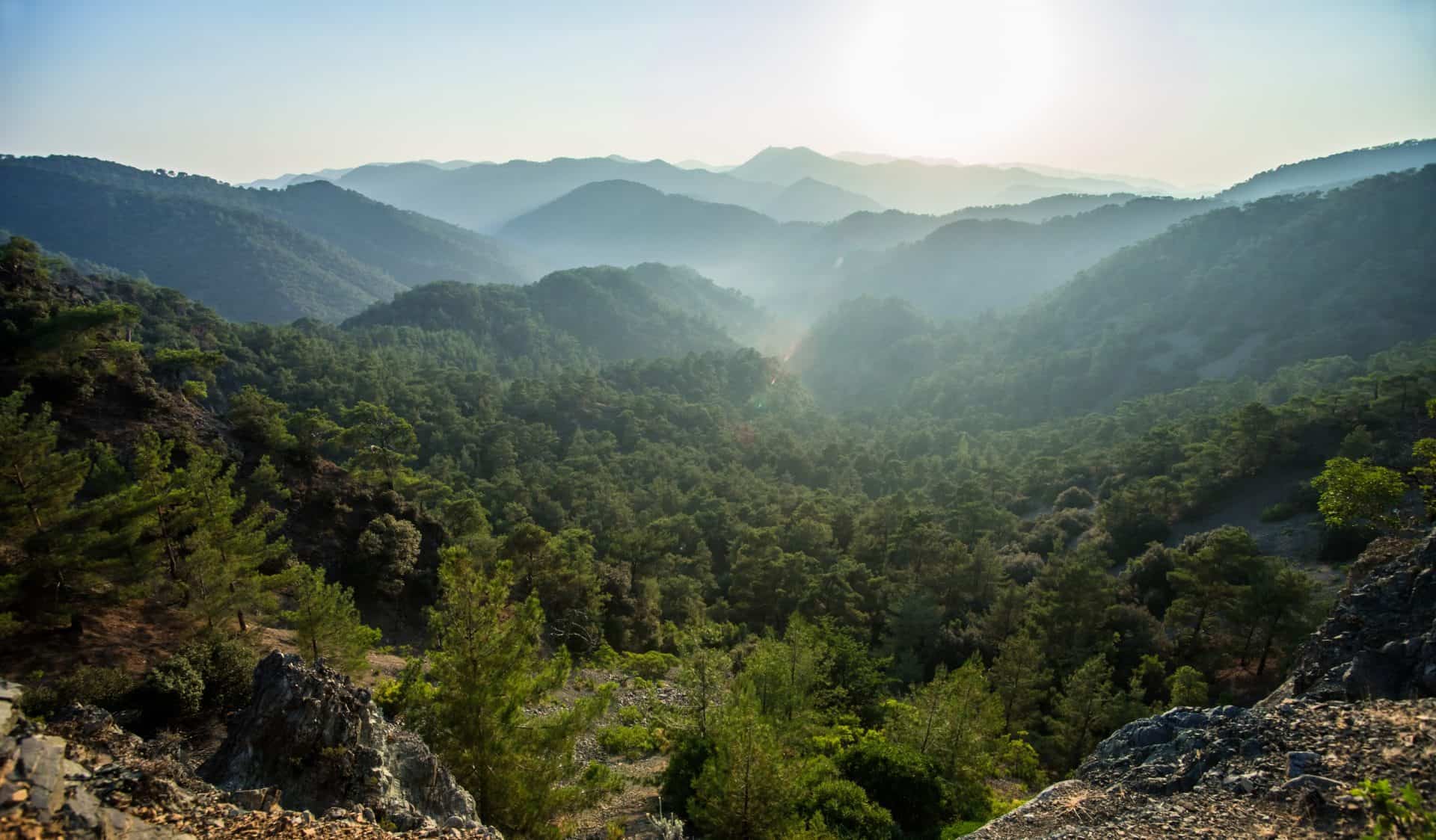 Cyprus Troodos Mountains Stock mrdenpol min